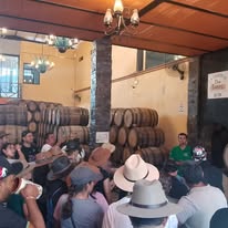 Grupo en tour con barriles